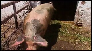 Blond MILF dzika przygoda w stodole i na zewnątrz z Egon Kowalski